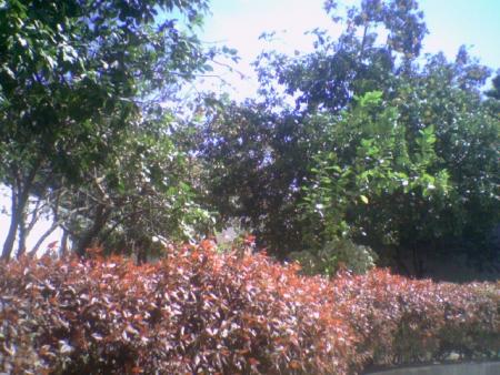 la nature c nice